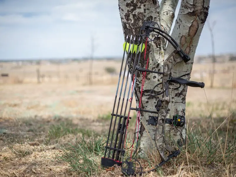 A compound leaning at a tree